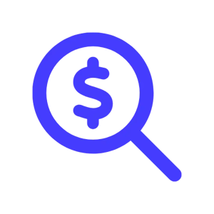 descriptive icon - magnifying glass with a dollar