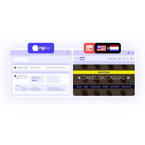 Rigi Overview screen with transparent background showing project-level translation metrics